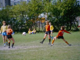 0DIA 1984 RAVA PUPS 1